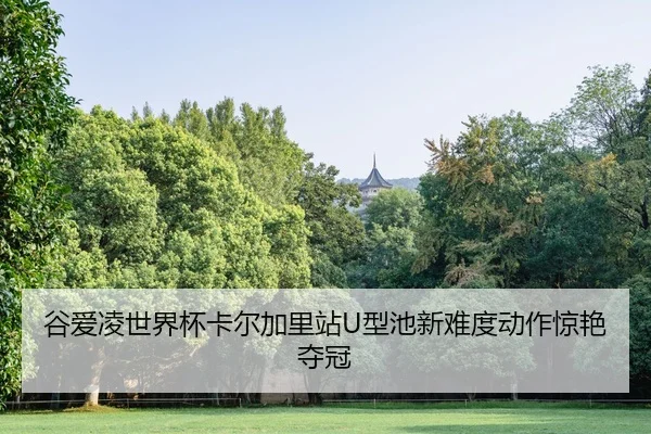 谷爱凌世界杯卡尔加里站U型池新难度动作惊艳夺冠